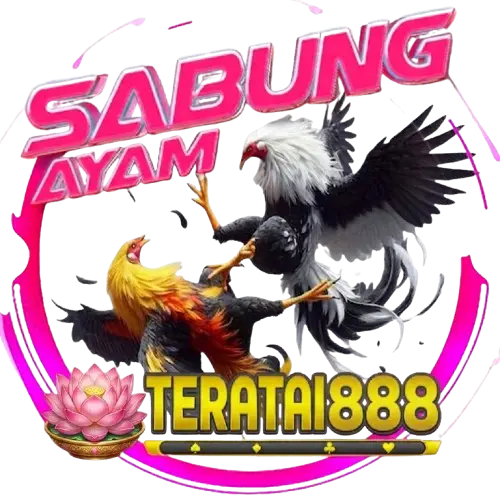 sabung ayam